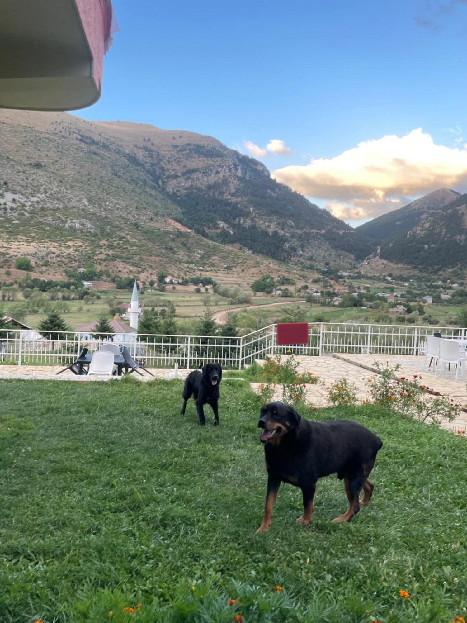 Lura Hotel Fushe-Lure Kültér fotó