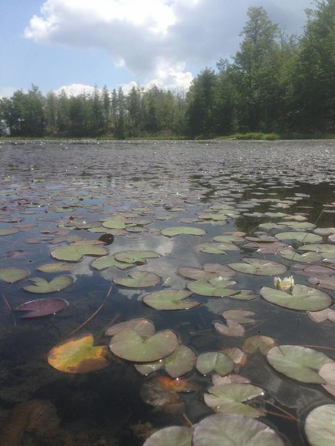 Lura Hotel Fushe-Lure Kültér fotó